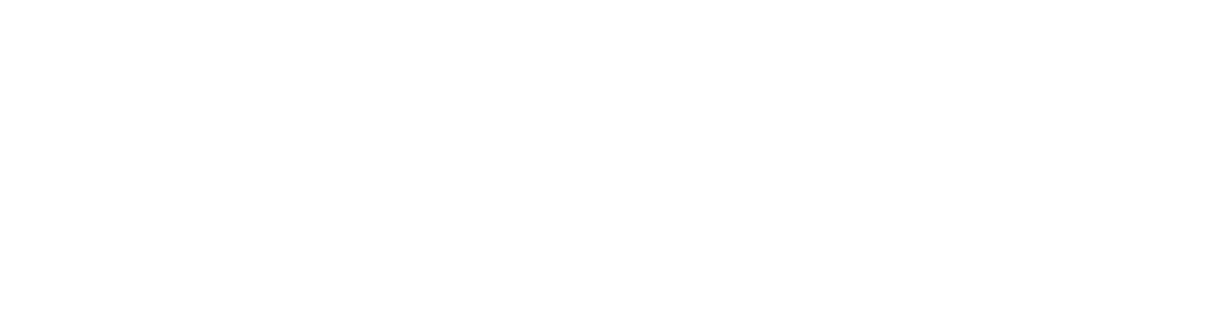 extrinsec logo externalisation informatique algérie